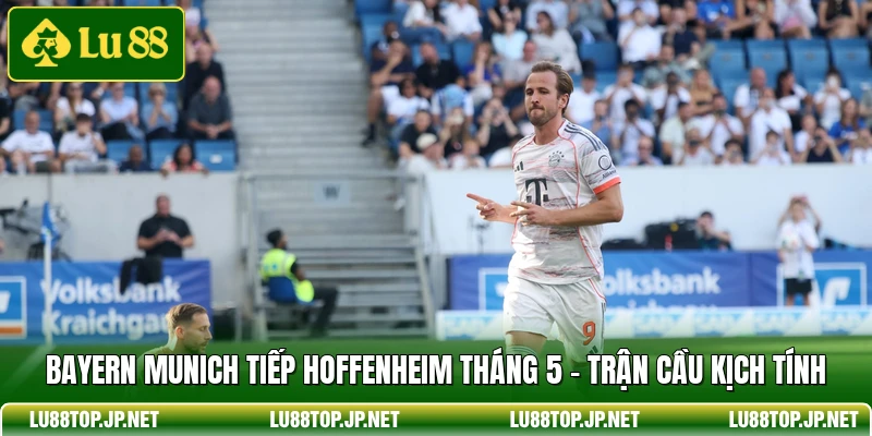 Bayern Munich Tiếp Hoffenheim Tháng 5 - Trận Cầu Kịch Tính